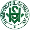 Hamminkelner SV